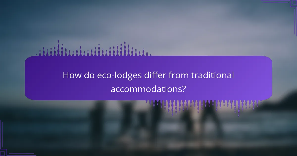 How do eco-lodges differ from traditional accommodations?