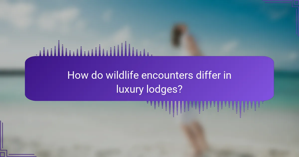 How do wildlife encounters differ in luxury lodges?