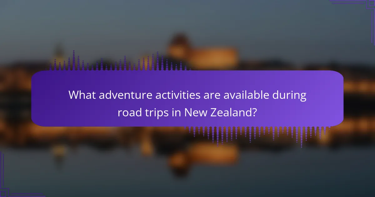 What adventure activities are available during road trips in New Zealand?
