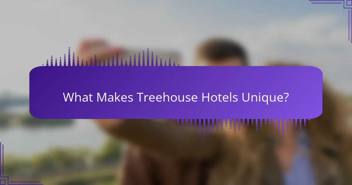What Makes Treehouse Hotels Unique?