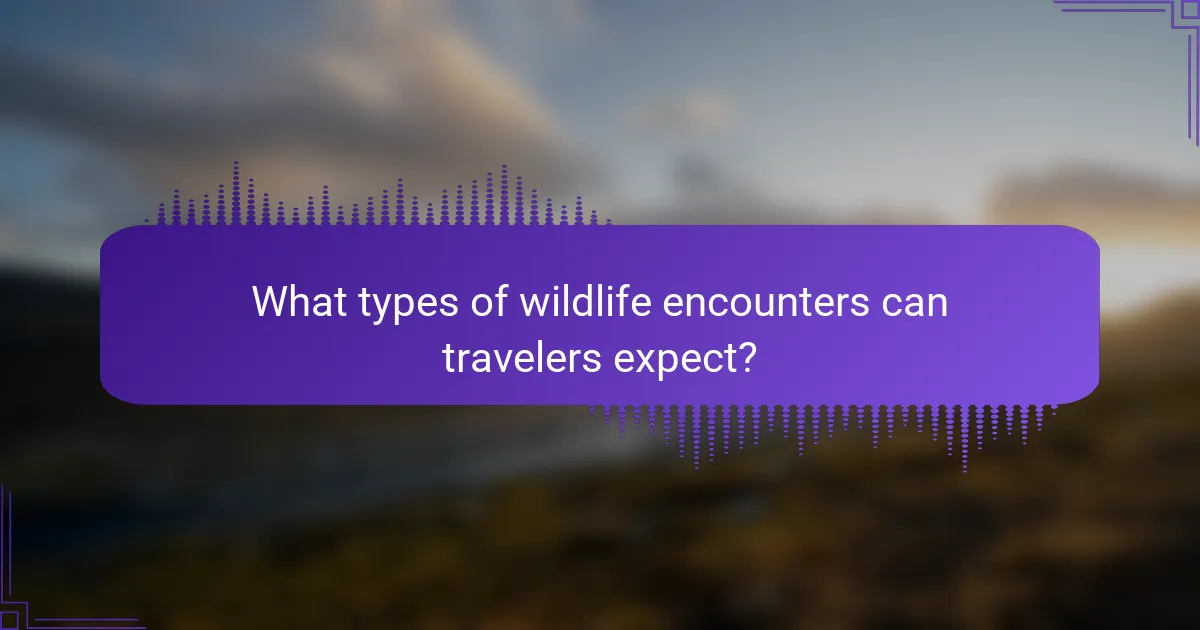 What types of wildlife encounters can travelers expect?