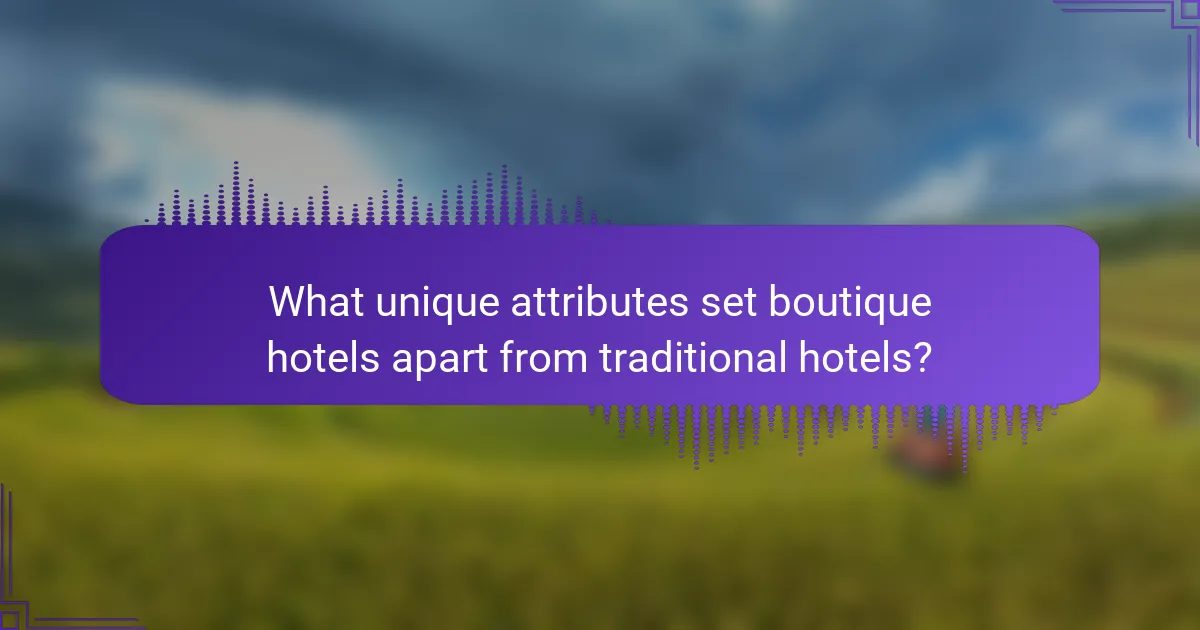 What unique attributes set boutique hotels apart from traditional hotels?