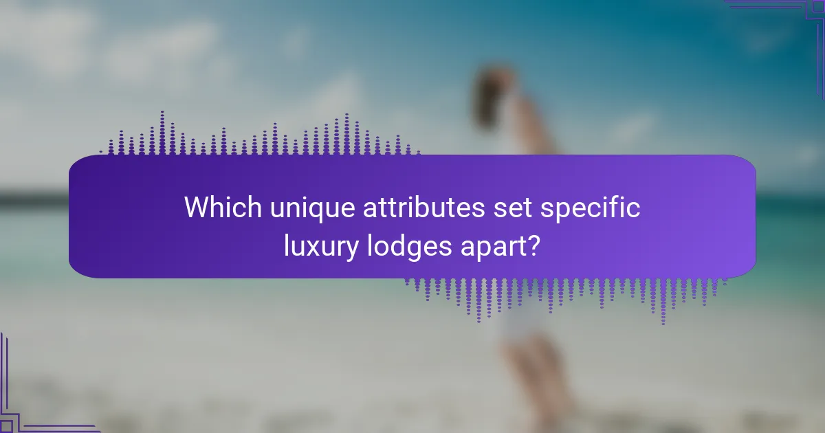 Which unique attributes set specific luxury lodges apart?