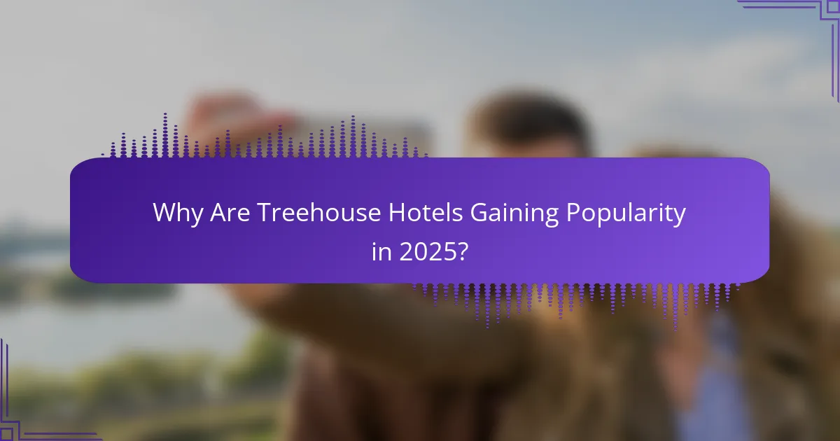 Why Are Treehouse Hotels Gaining Popularity in 2025?
